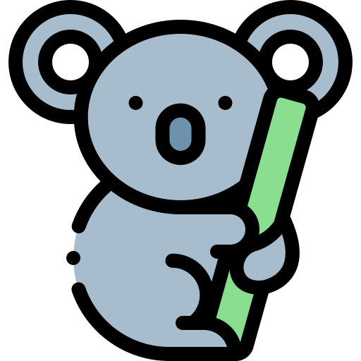 Bearfinds.com | Official Website | Exclusive Deals & Rewards